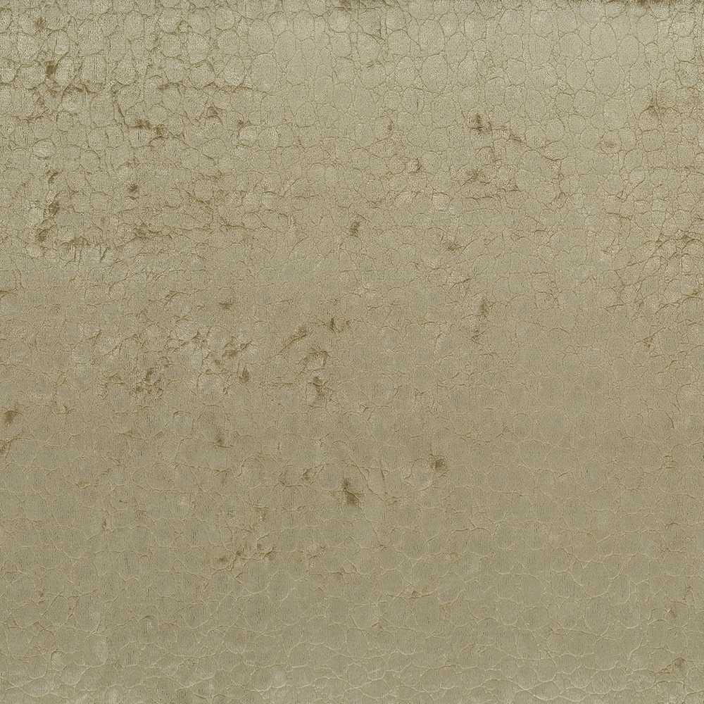 Osborne & Little | Samburu fabric - F7800-01