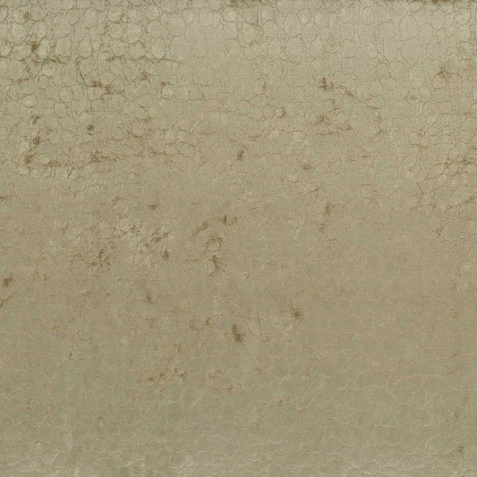 Osborne & Little | Samburu fabric - F7800-01