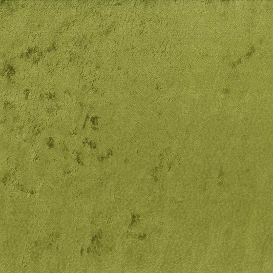 Osborne & Little | Meru fabric - F7801-01