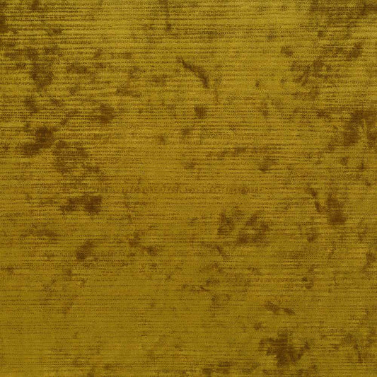 Osborne & Little | Tembe fabric - F7802-01