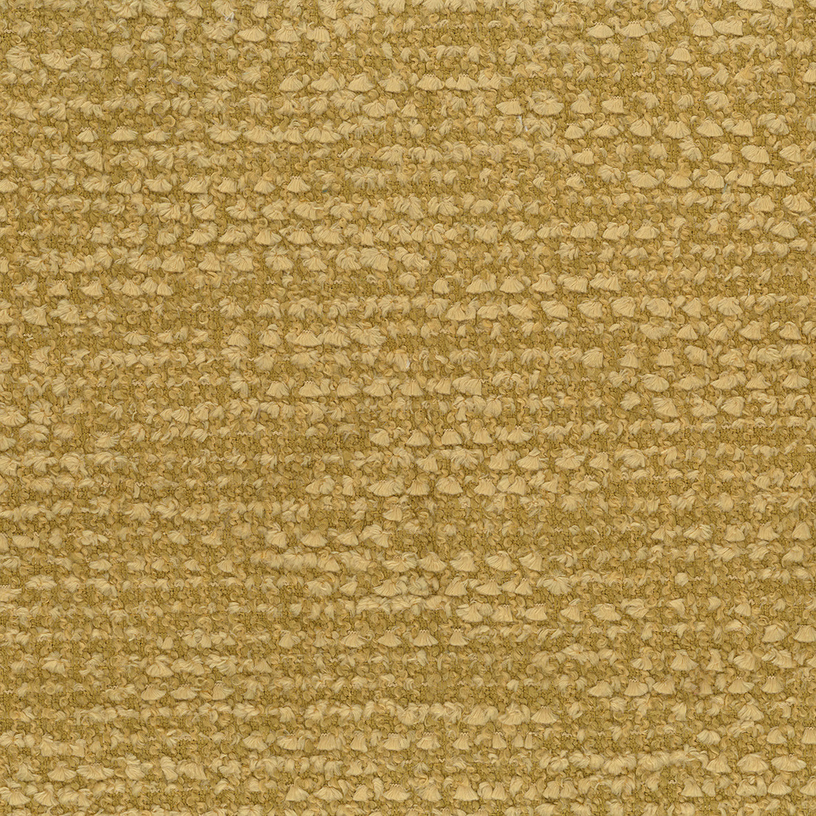 Osborne & Little | Millbeck fabric - Honey