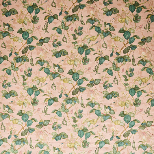 Osborne & Little | Cupani fabric - Blush