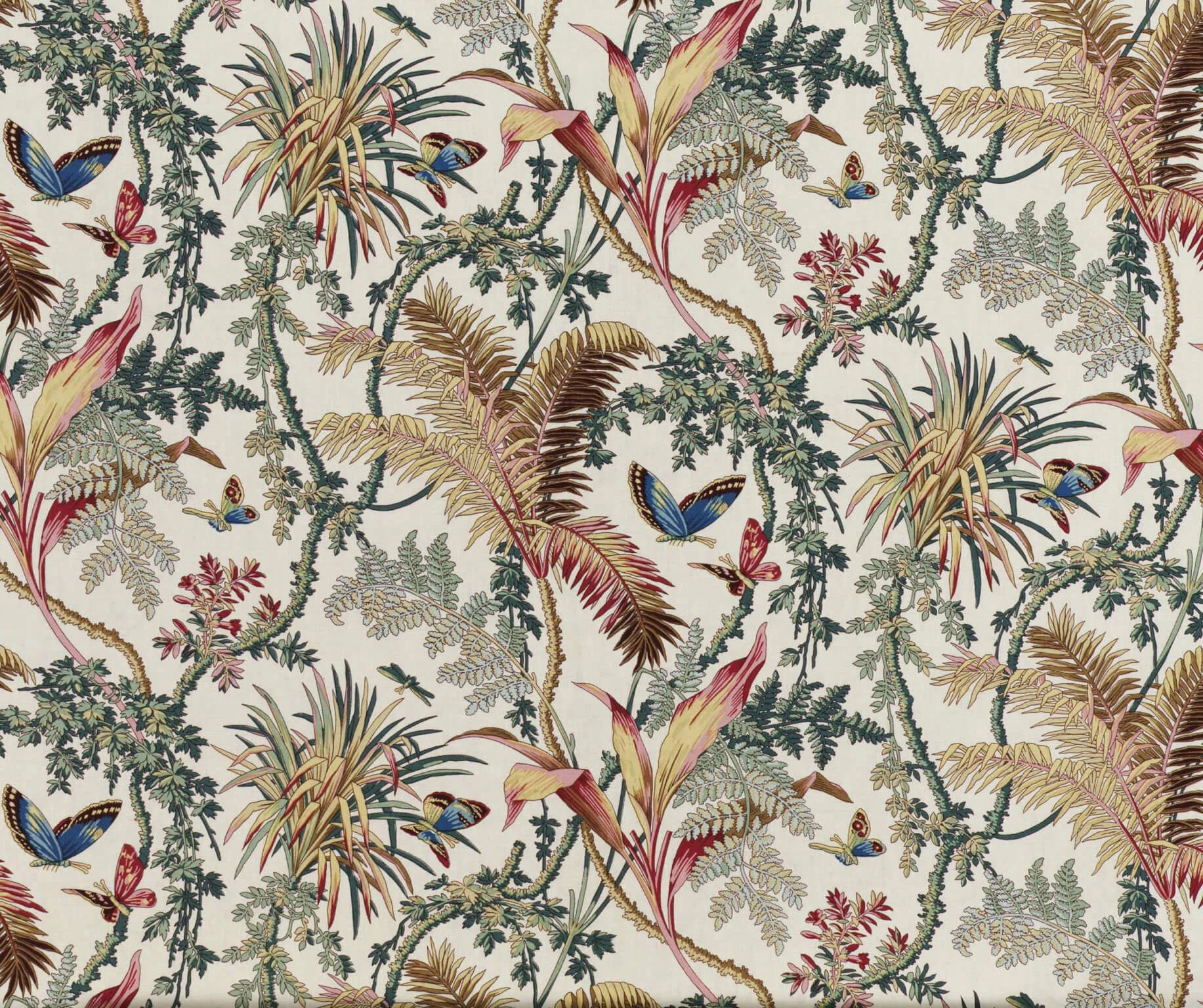 Pierre Frey Papillons exotiques - cretonne - Fond crème