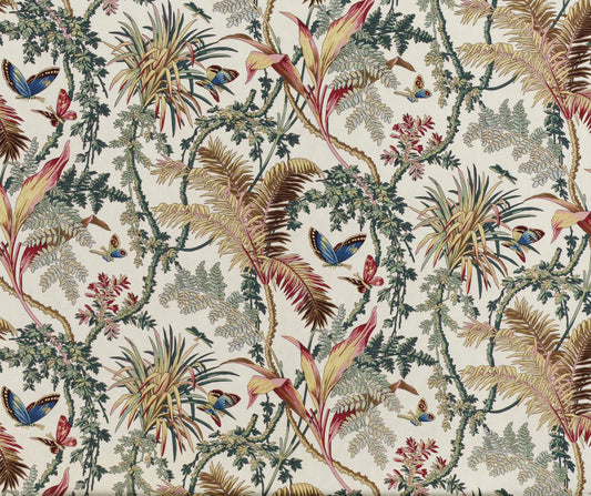 Pierre Frey Papillons exotiques - cretonne - Fond crème