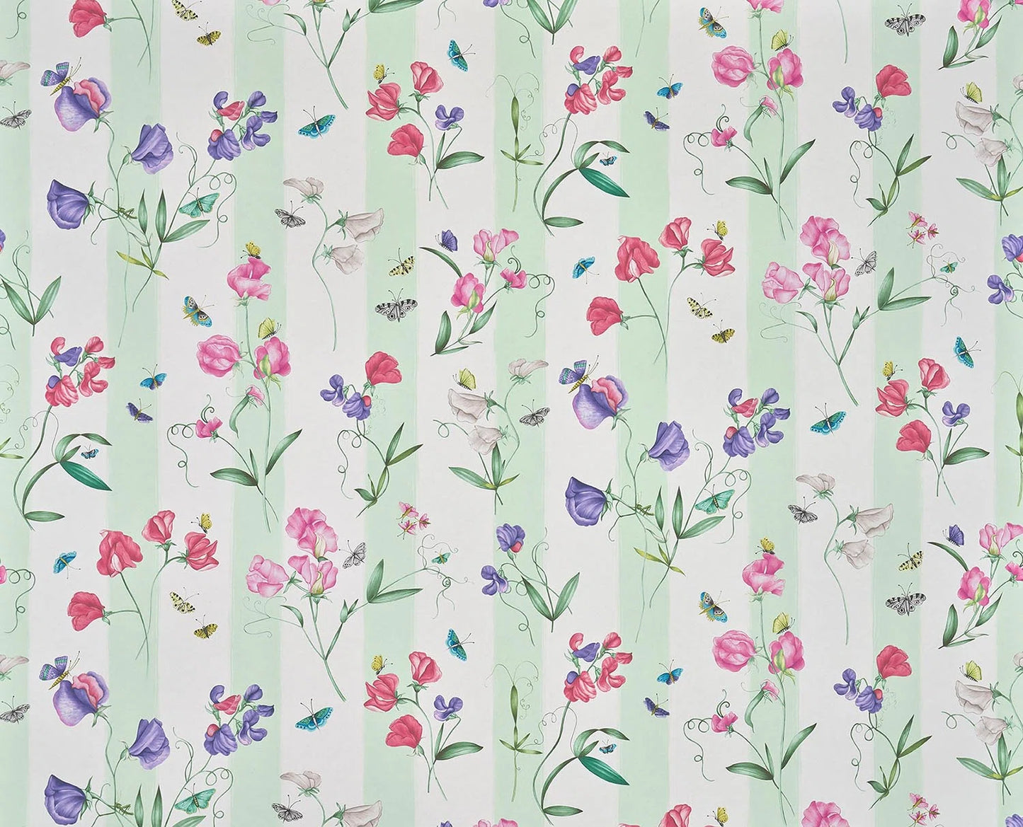 Pierre Frey Rayure Les Pois De Senteur - Creme