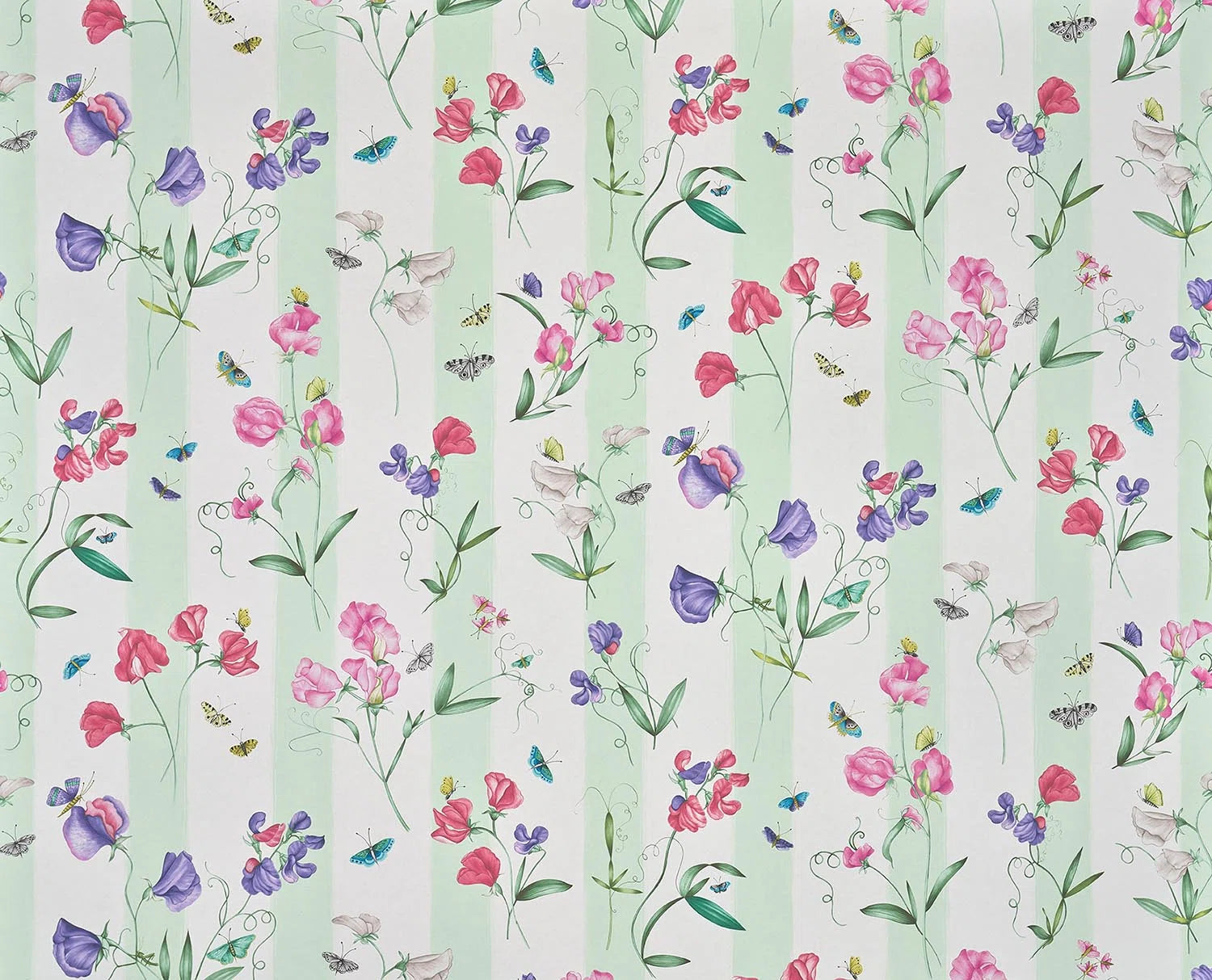 Pierre Frey Rayure Les Pois De Senteur - Creme