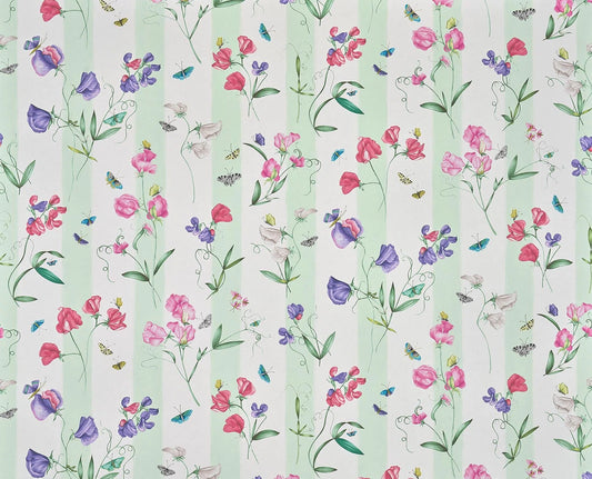 Pierre Frey Rayure Les Pois De Senteur - Creme