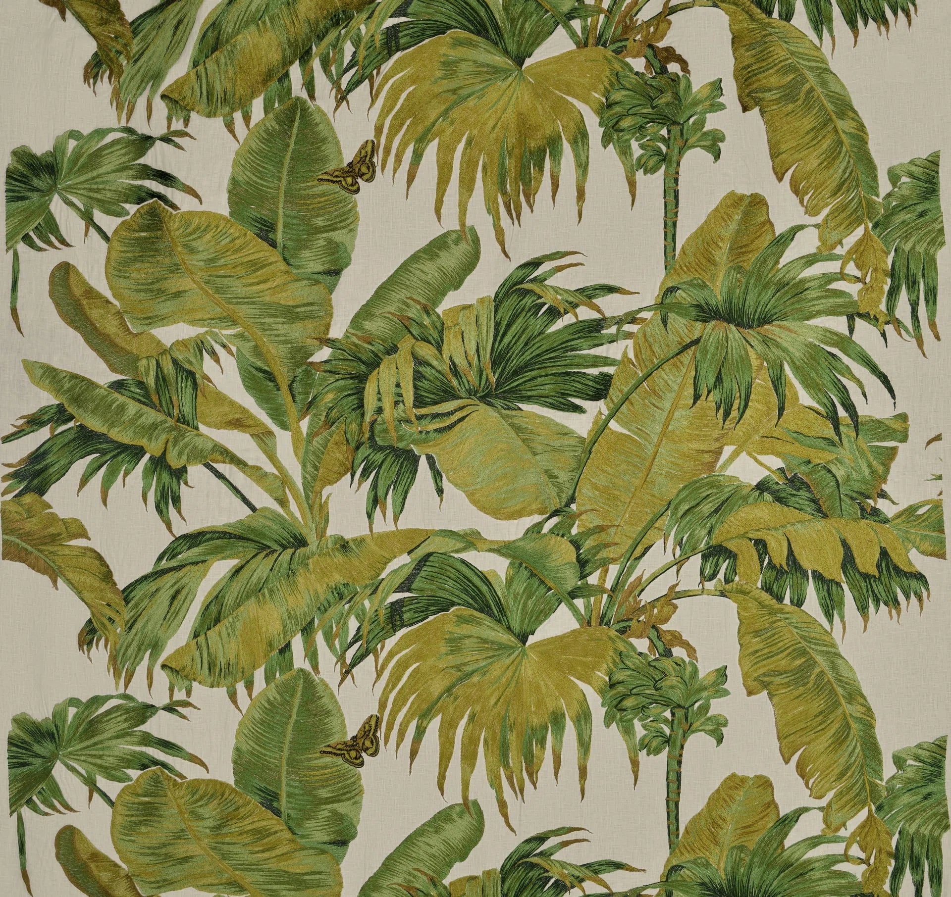 Pierre Frey Bananier broderie - Olive