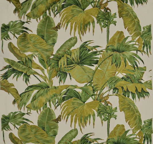 Pierre Frey Bananier broderie - Olive