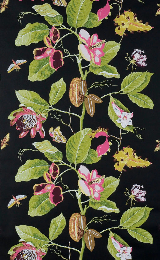 Pierre Frey Wallpaper Nakai - Black