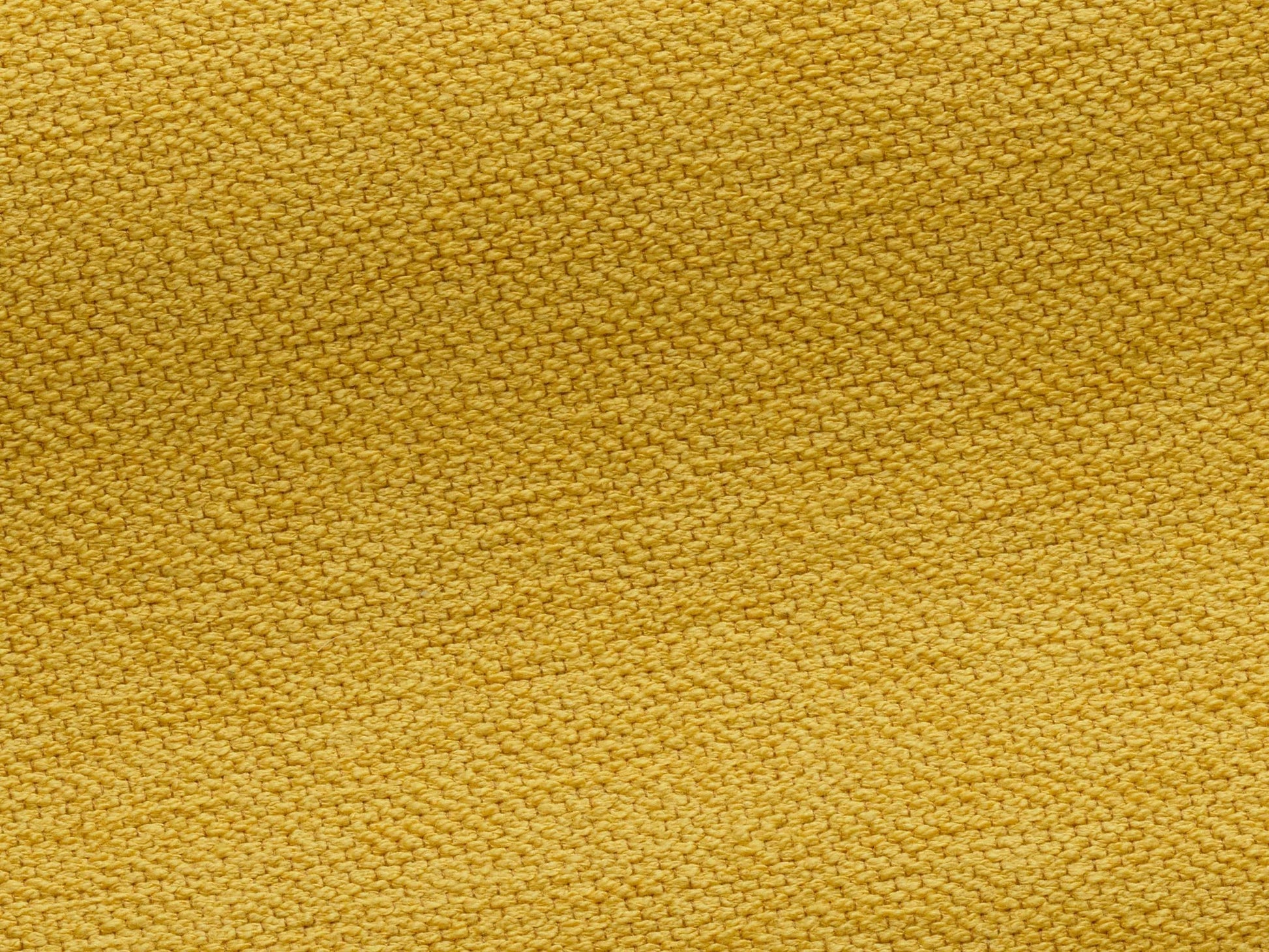 Pierre Frey Toile De Tours - Bouclette - Citron