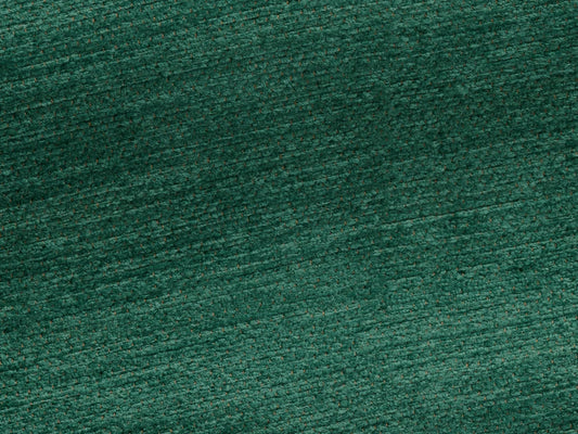 Pierre Frey Chenille De Tours - Cactus
