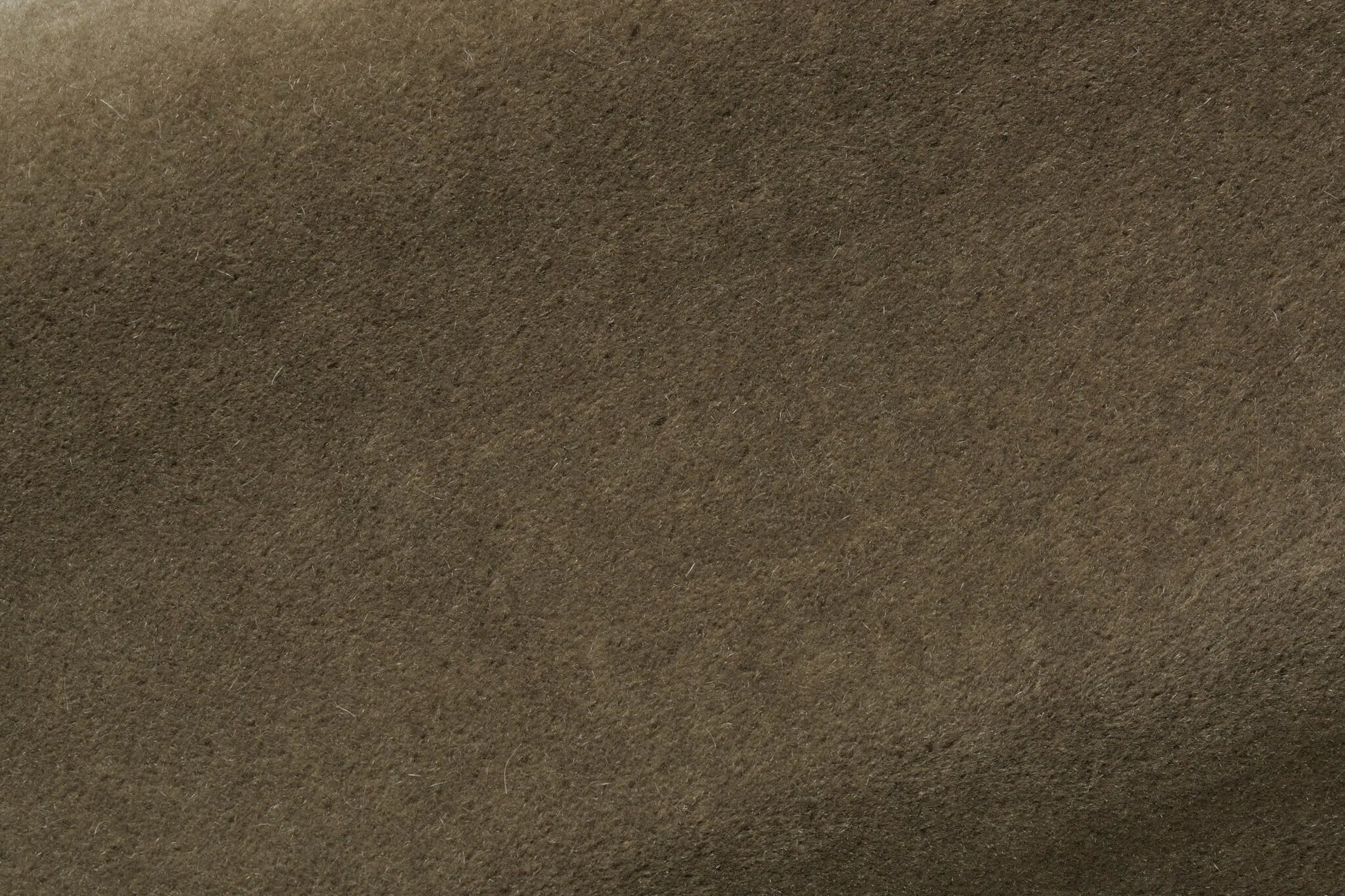 Pierre Frey Teddy Mohair - Hérisson