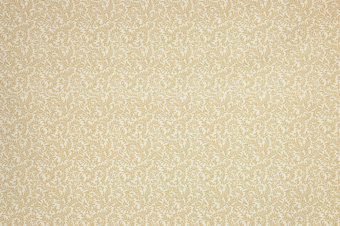 Pierre Frey Le Grand Corail Vermicule Assorti - Bistre Fond Blanc