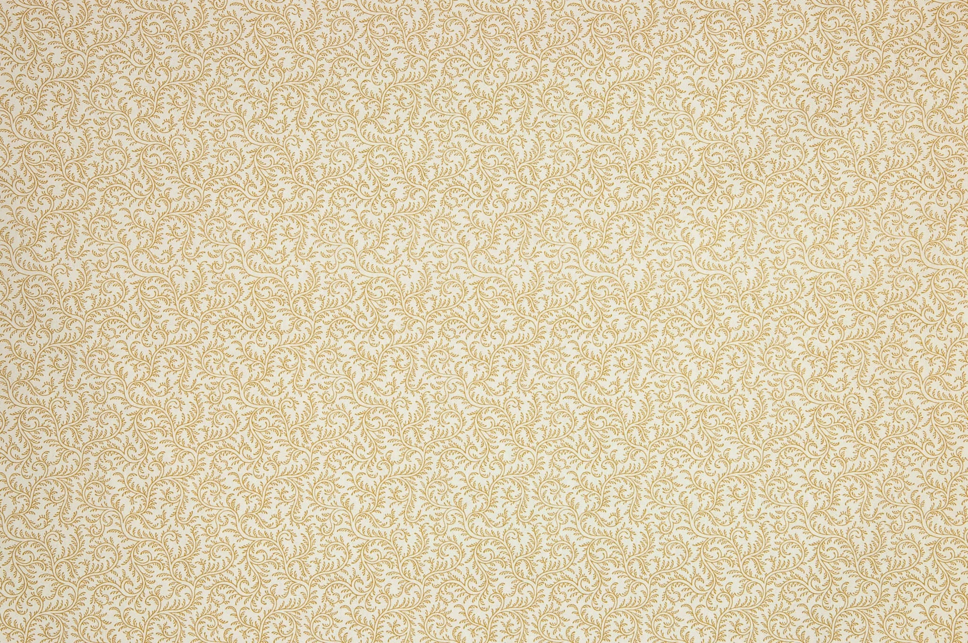 Pierre Frey Le Grand Corail Vermicule Assorti - Bistre Fond Blanc