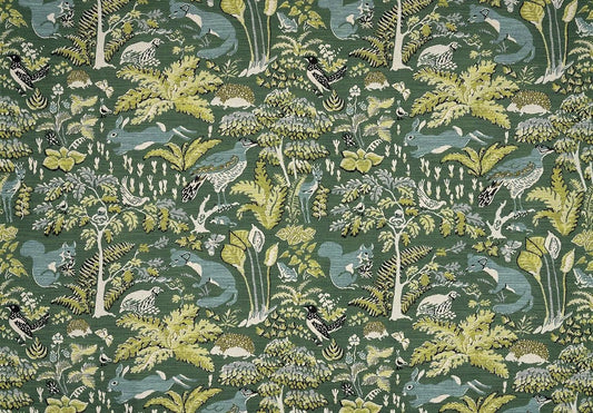 Pierre Frey En foret - Lichen