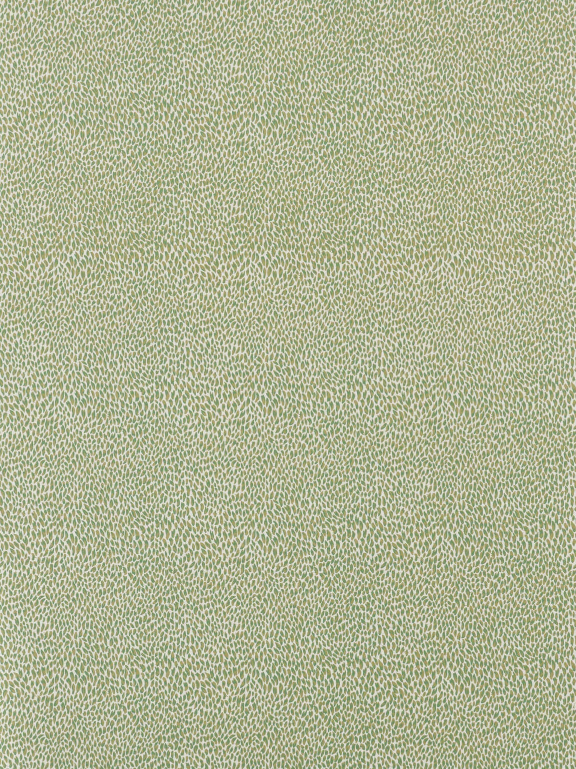 Pierre Frey Plumettes - Verveine
