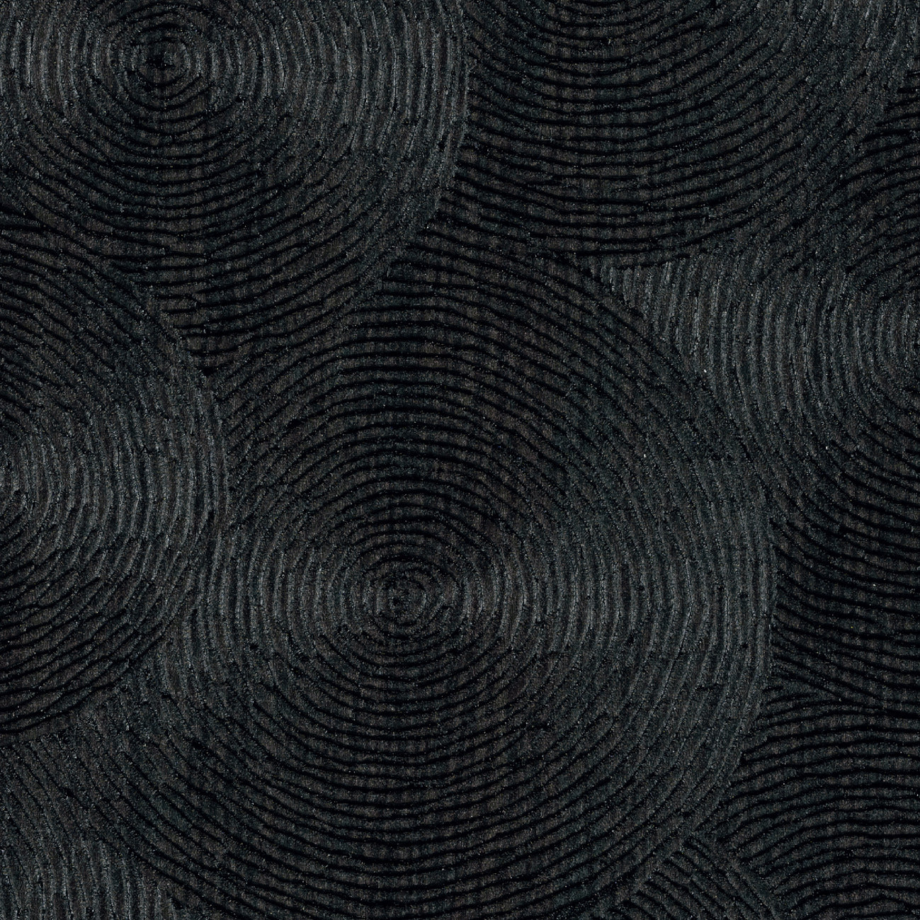 Elitis | Volute - 80 - Premiers artistes