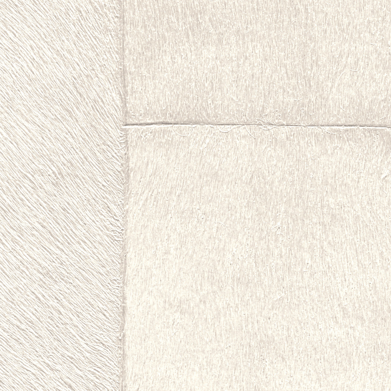 Elitis | Appaloosa - 01 - L'ours blanc