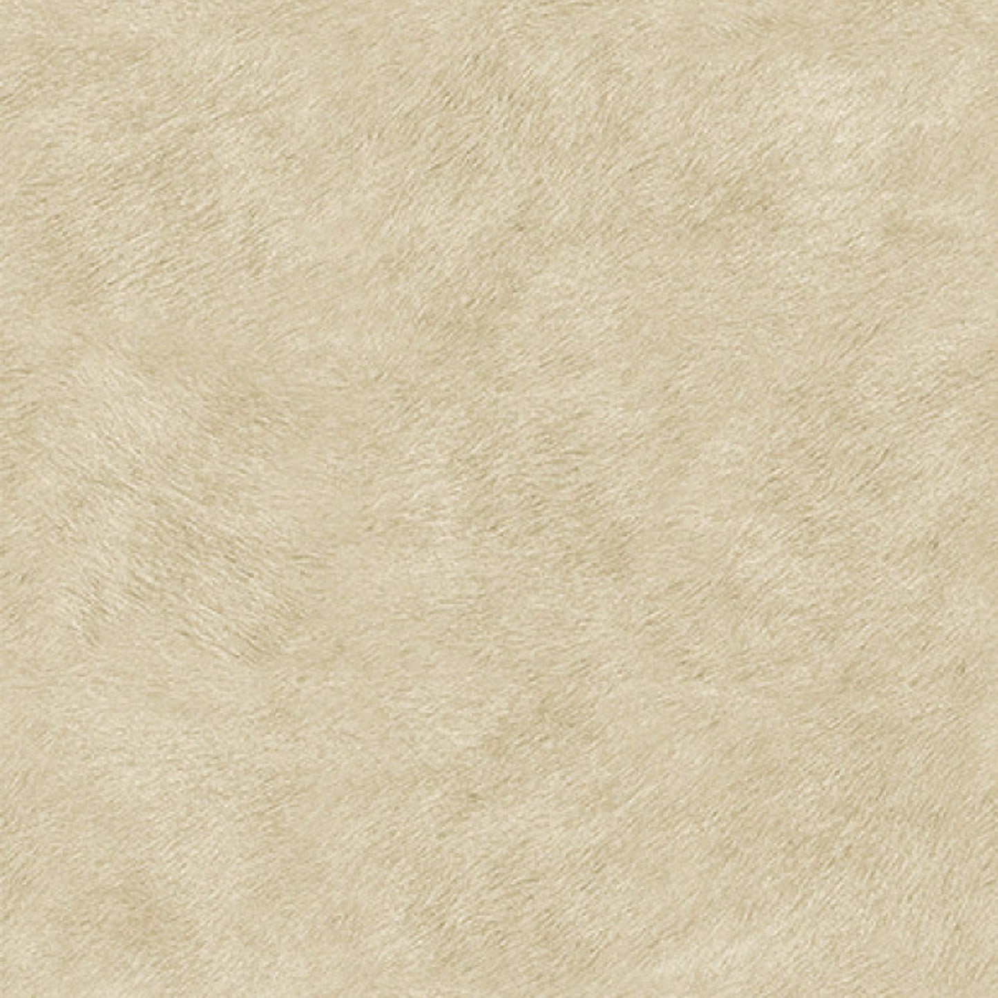 Elitis | Indomptée Tribeca 0,70m x 3m - 02 - Tribeca (uni coordonné)