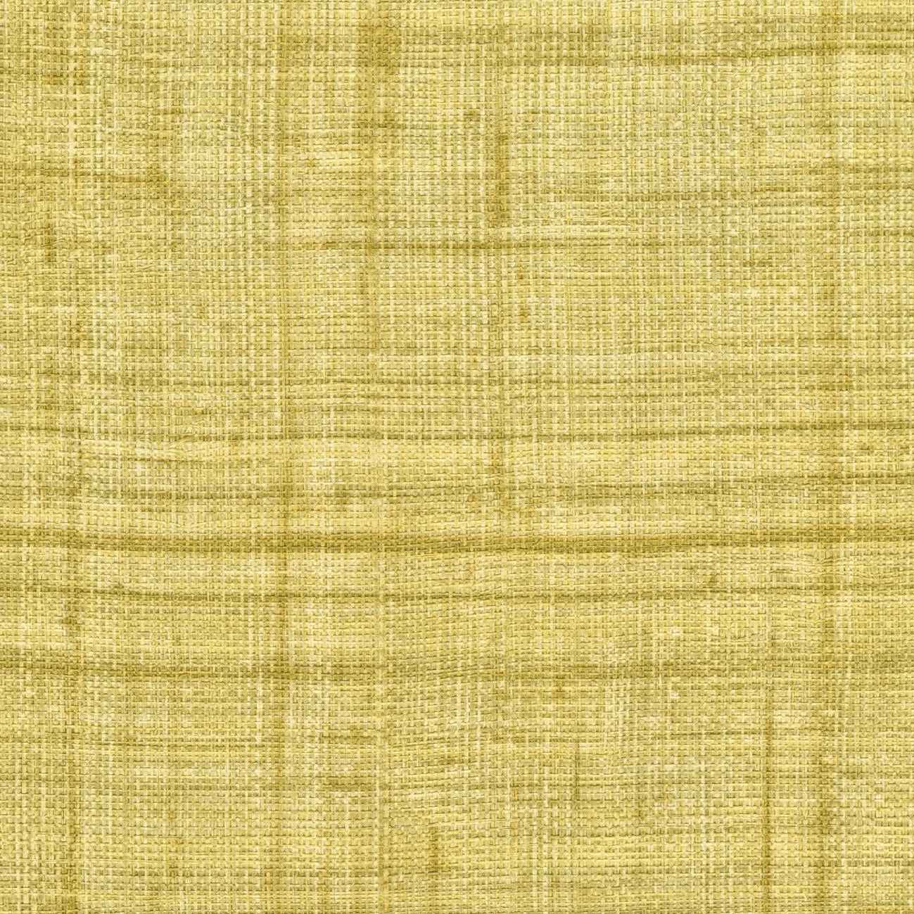 Elitis | Abaca - 60 - Une fibre lumineuse