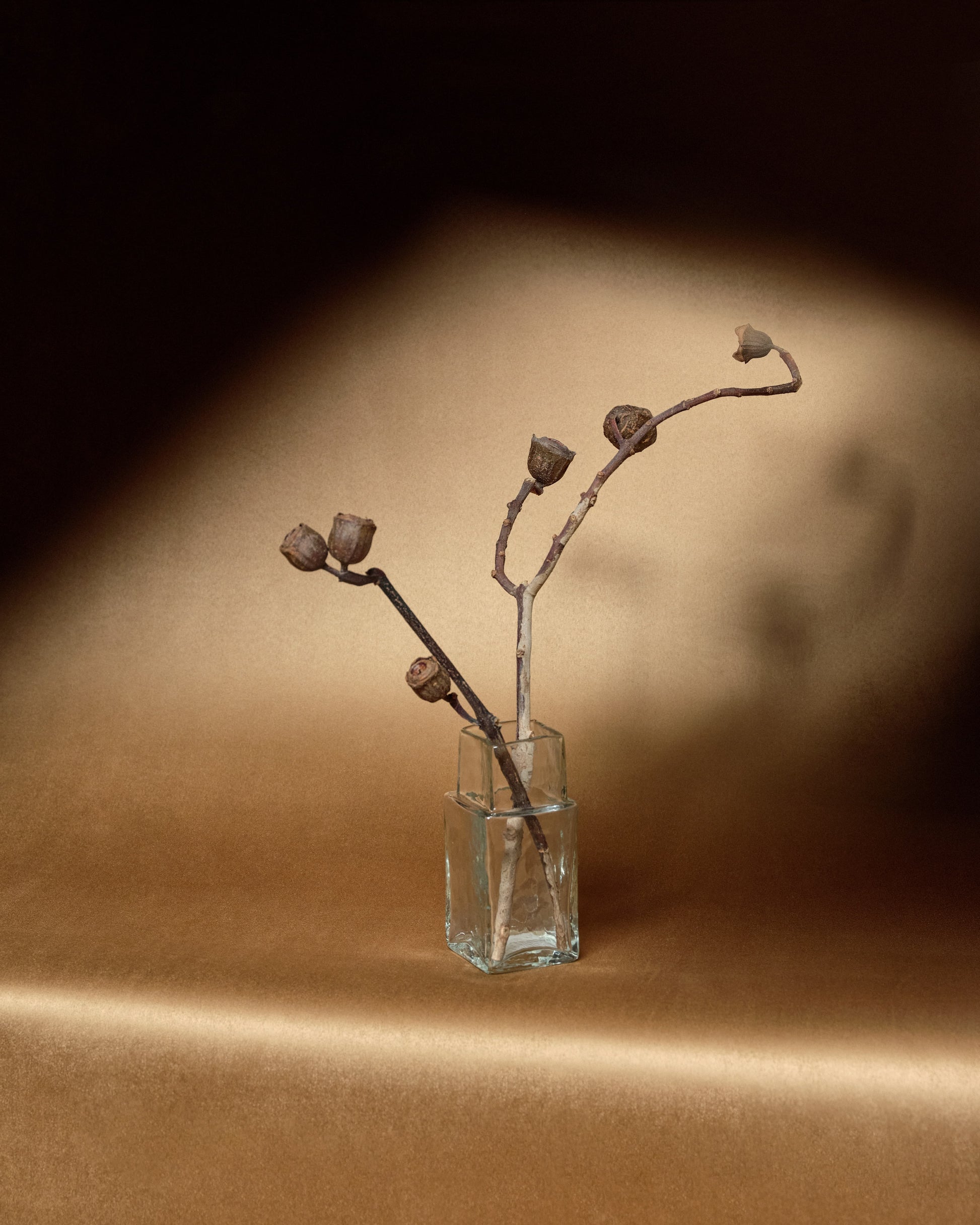 Elitis | Cocoon - room scene