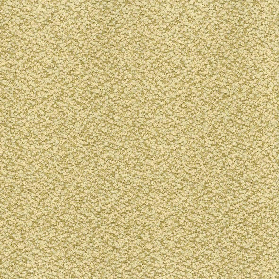 Nina Campbell | Cardot fabric - NCF4451-04
