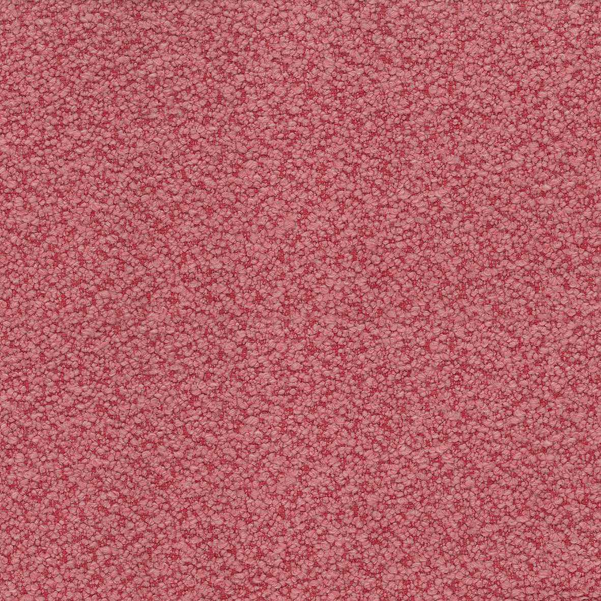 Nina Campbell | Cardot fabric - NCF4451-08