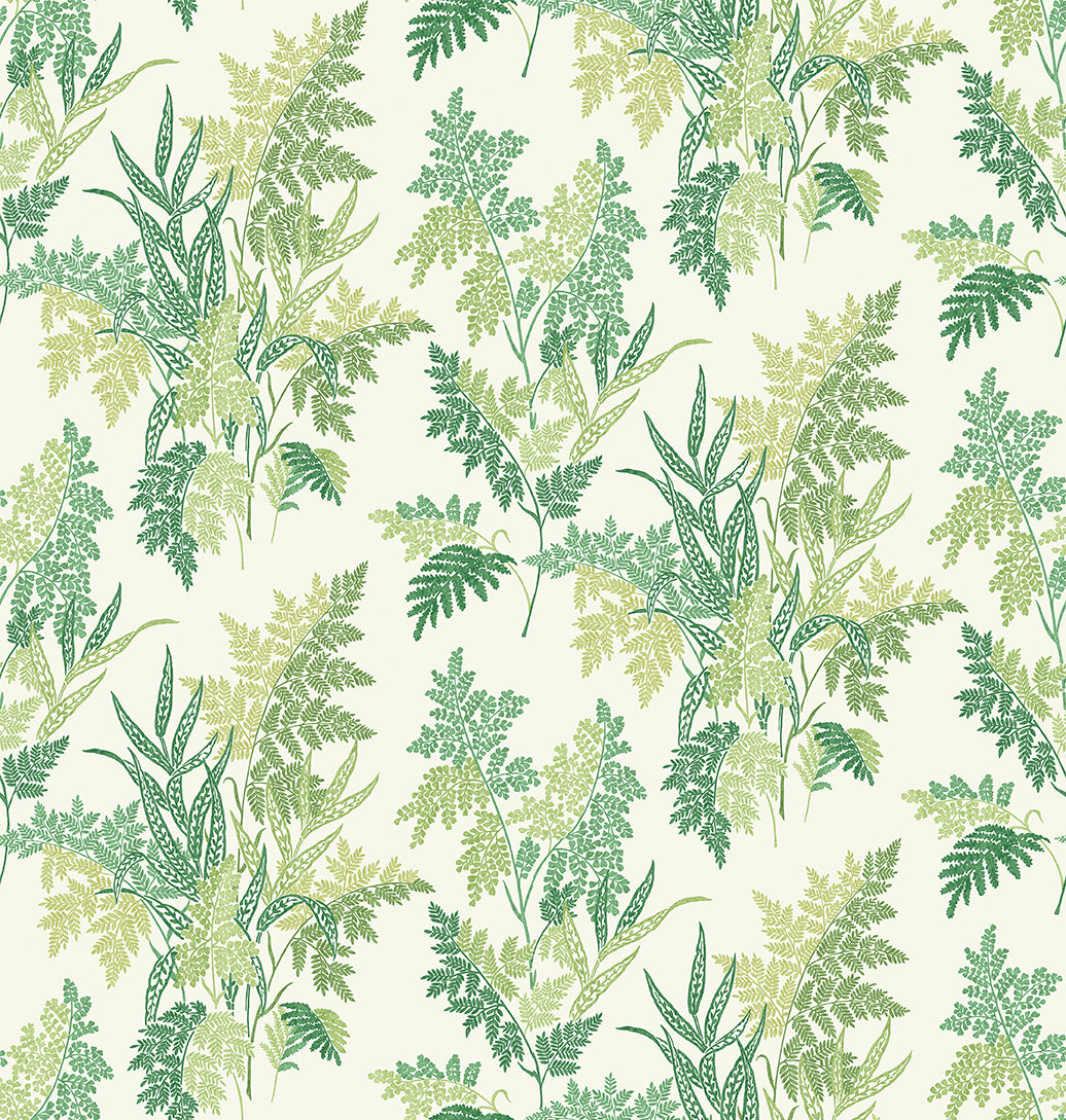 Nina Campbell | Fern Craze fabric - Green / Lime