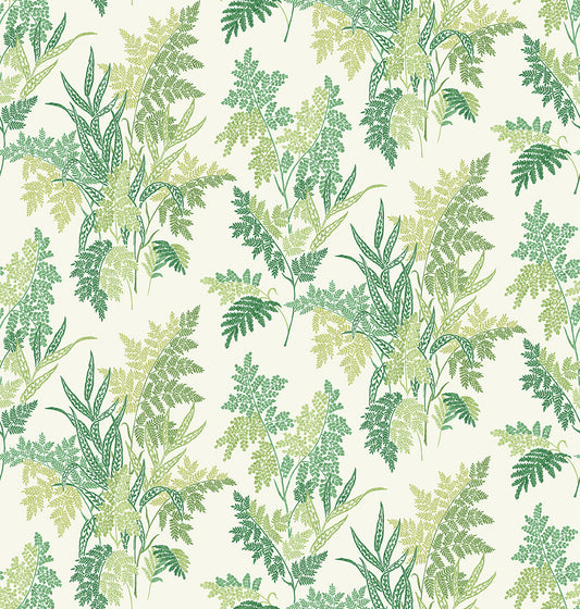 Nina Campbell | Fern Craze fabric - Green / Lime