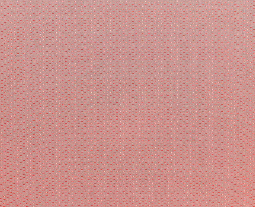 Pierre Frey Pheasant Eye Cotton — scenography