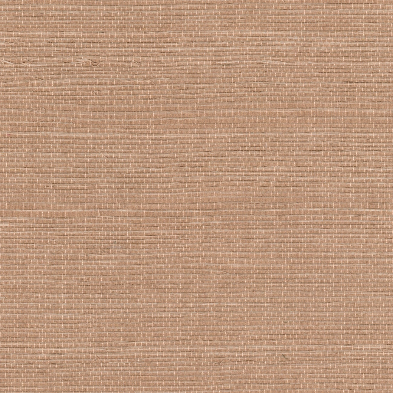 Elitis | Sisal - 51 - Nude
