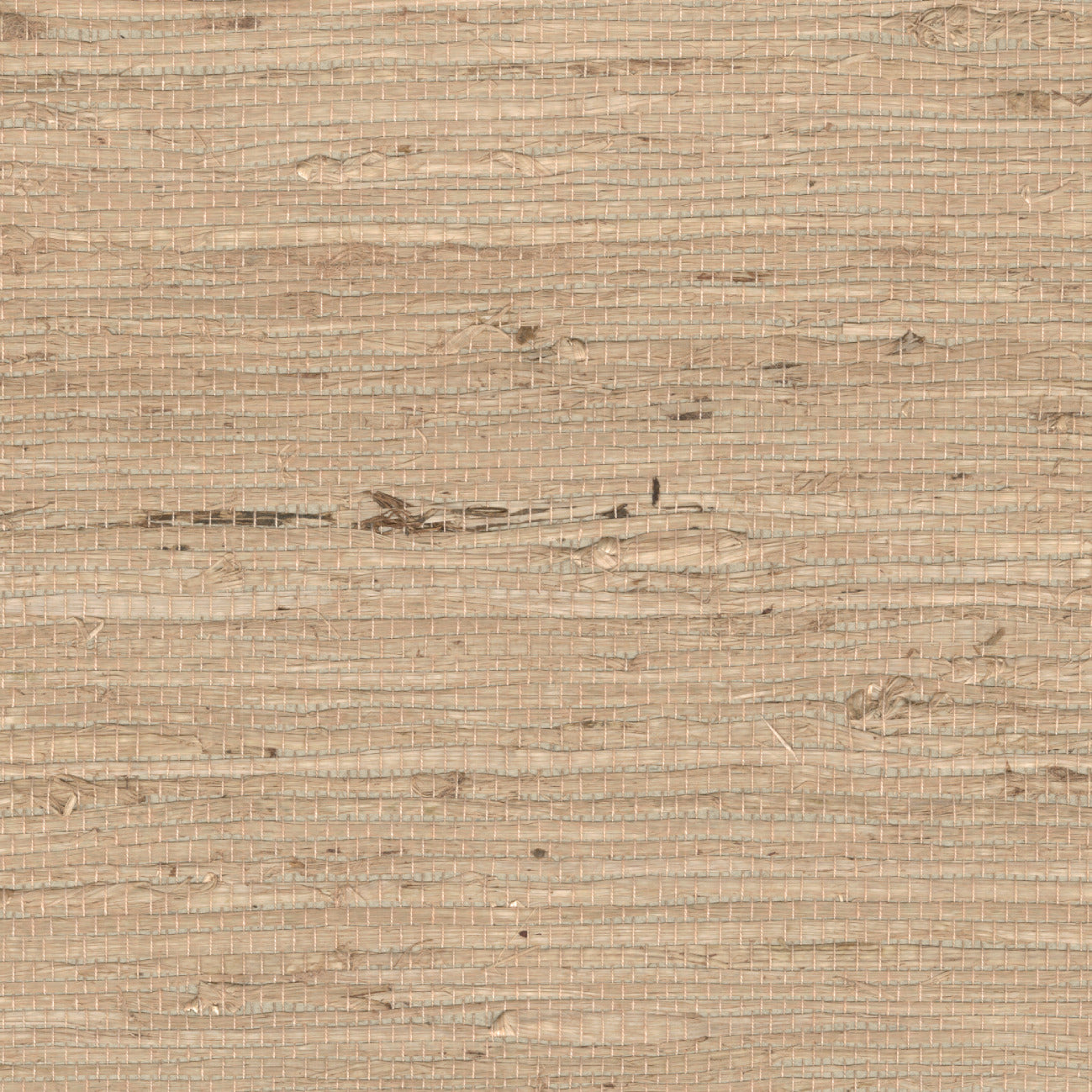 Elitis | Grasscloth - 05 - Voyage immobile