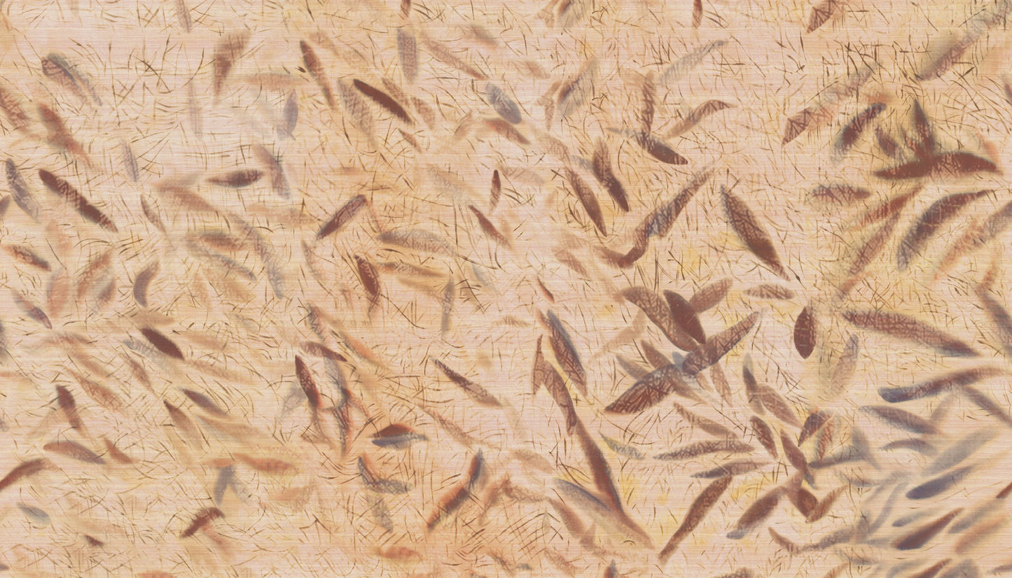 Elitis | Cérès Ballet 5,60m x 3,20m - 01 - D'un battement d'ailes