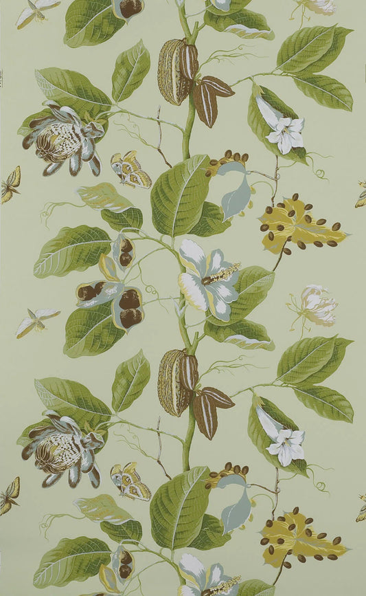 Pierre Frey Wallpaper Nakai - Pistacchio