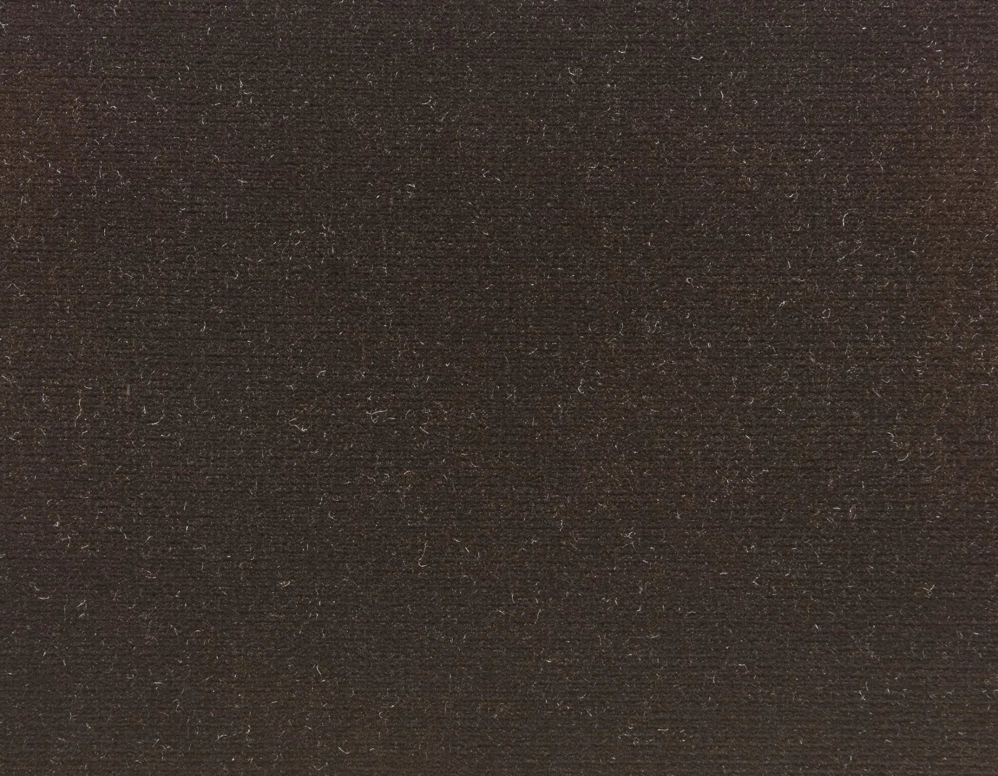 Pierre Frey Opera - Velours - Chocolat