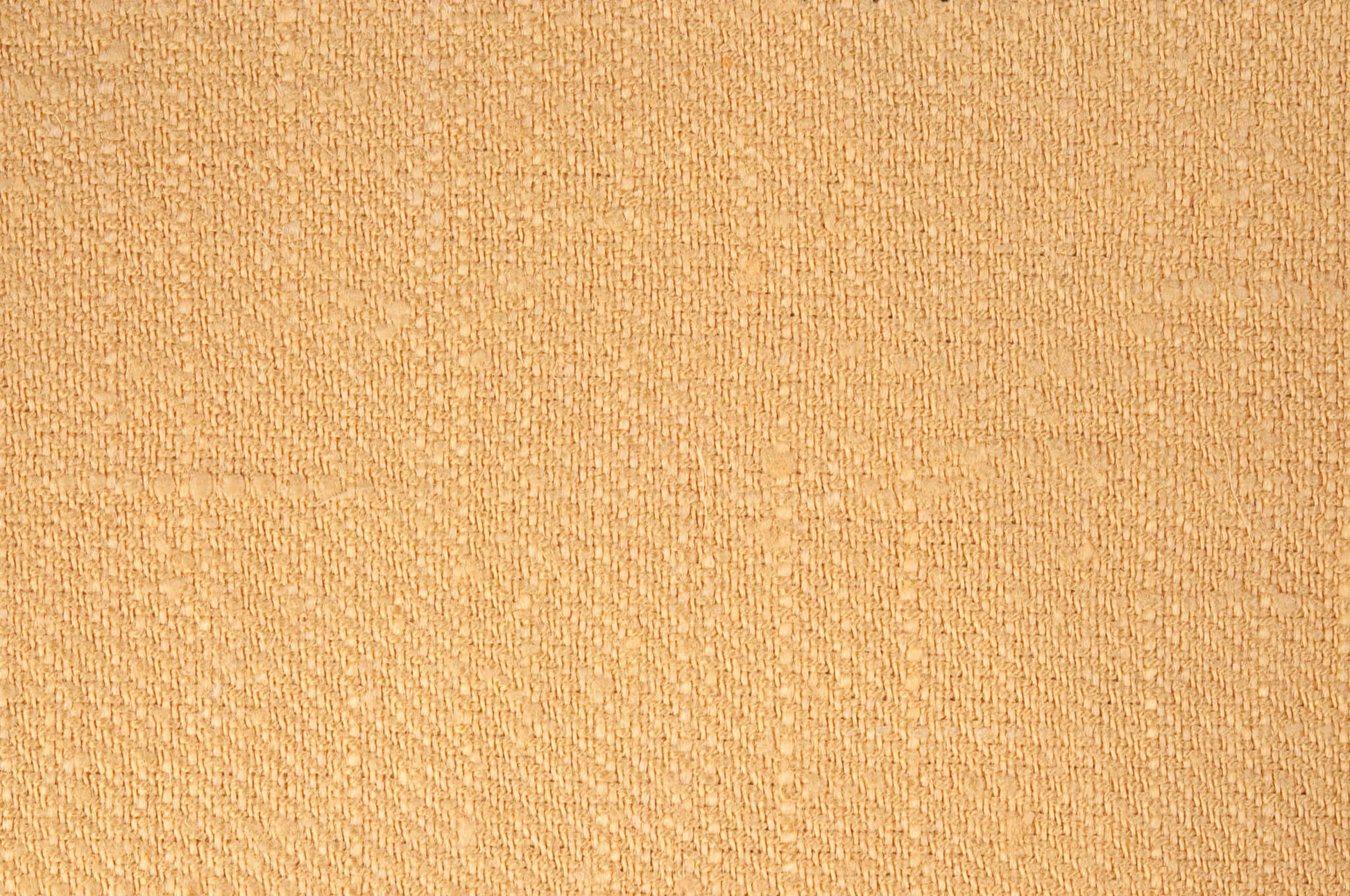 Pierre Frey Croisé Collobrières - Pitchpin