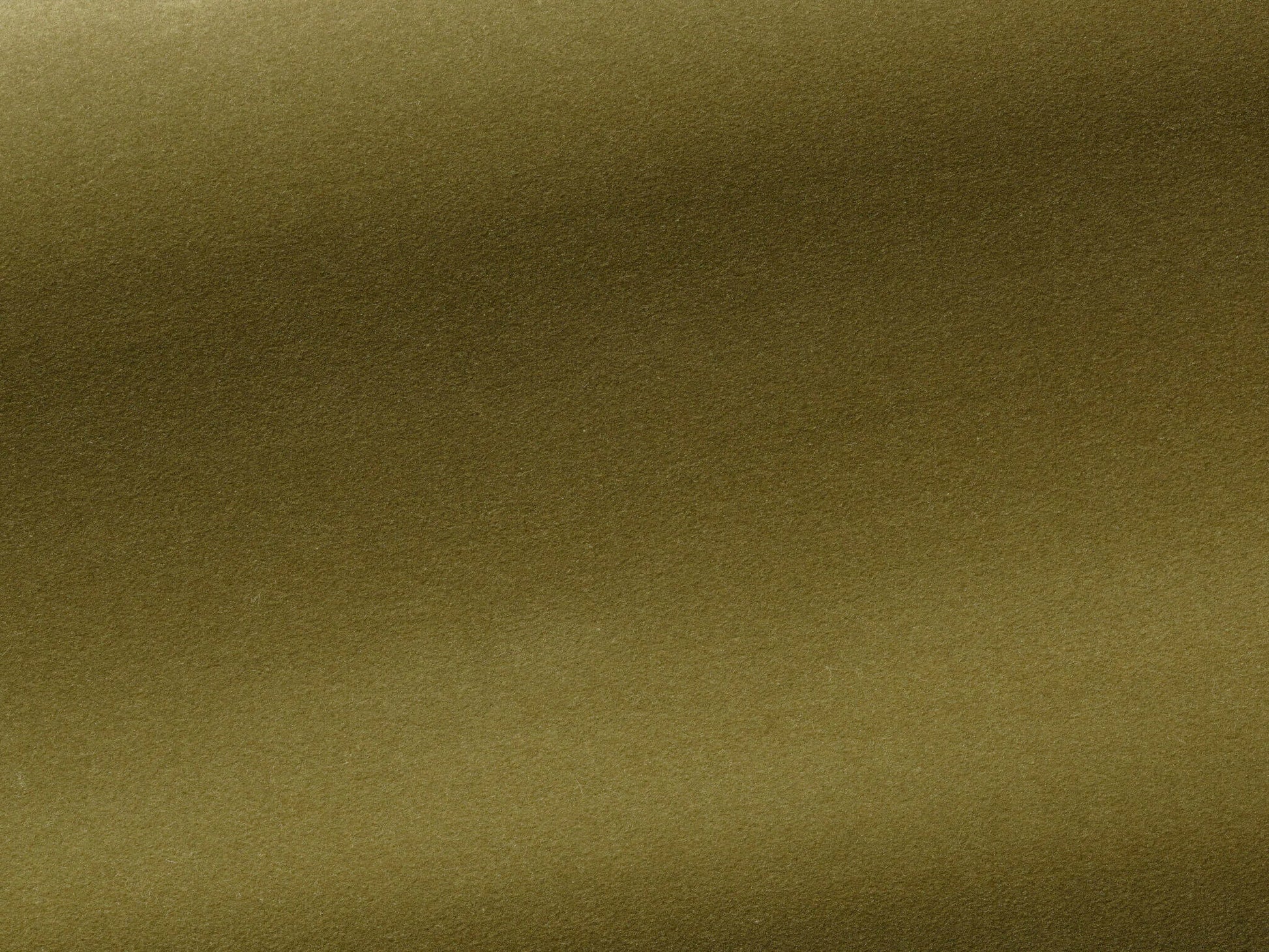 Pierre Frey Medium - Fougère