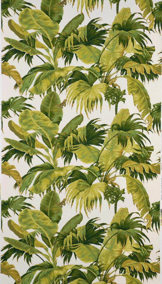 Pierre Frey Wallpaper Bananier - Olive