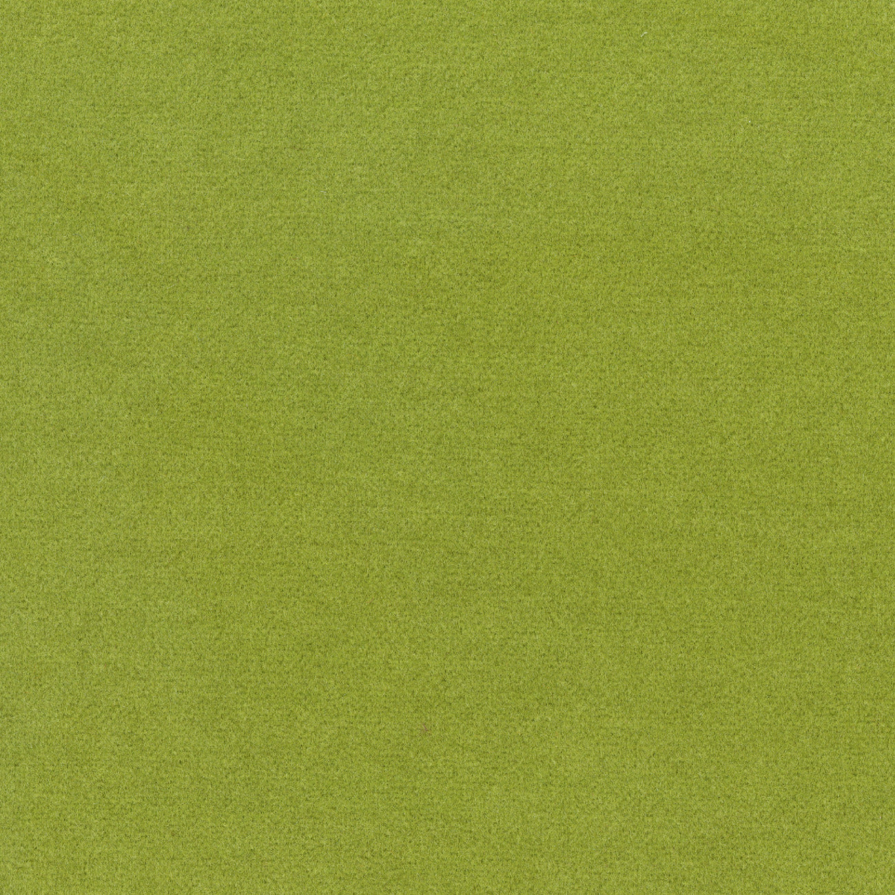 Elitis | Candy - 60 - L'herbe qui pousse