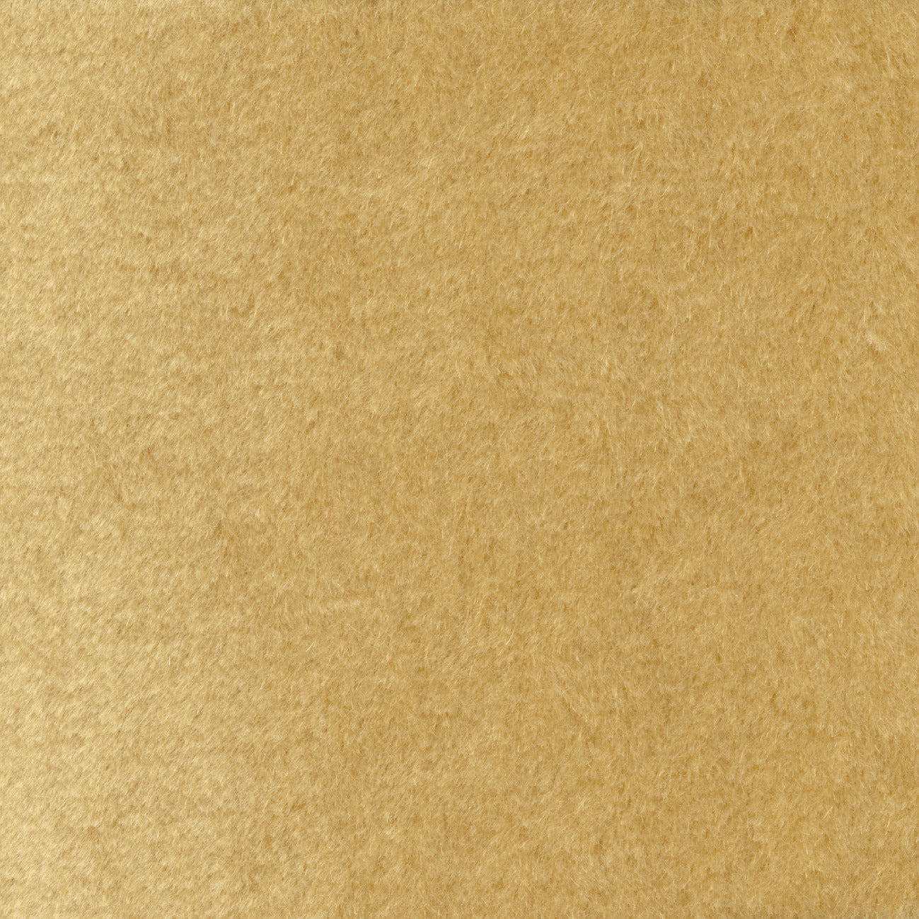 Elitis | Pur mohair - 20 - Les pieds dans le sable