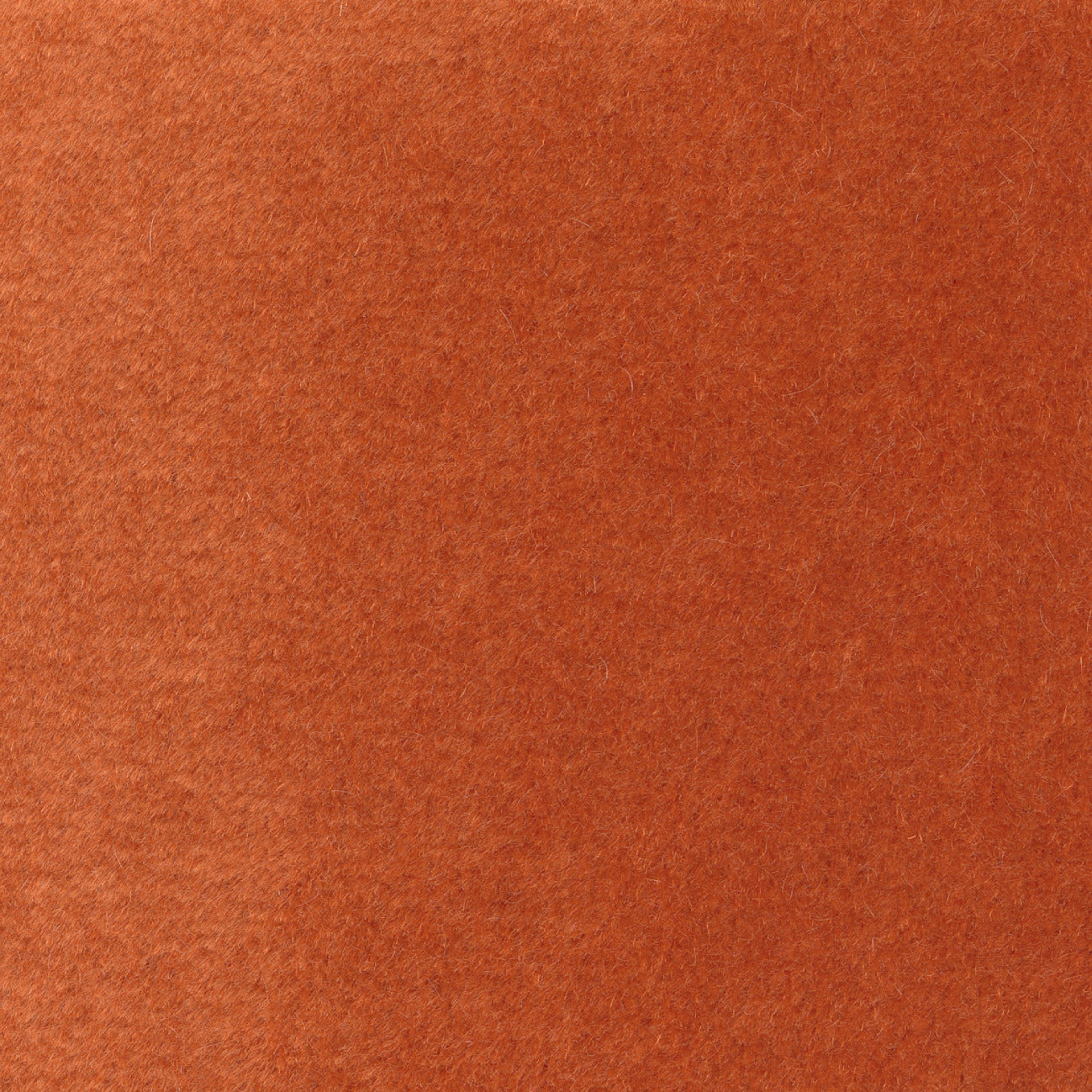 Elitis | Pur mohair - 37 - Pour un flirt
