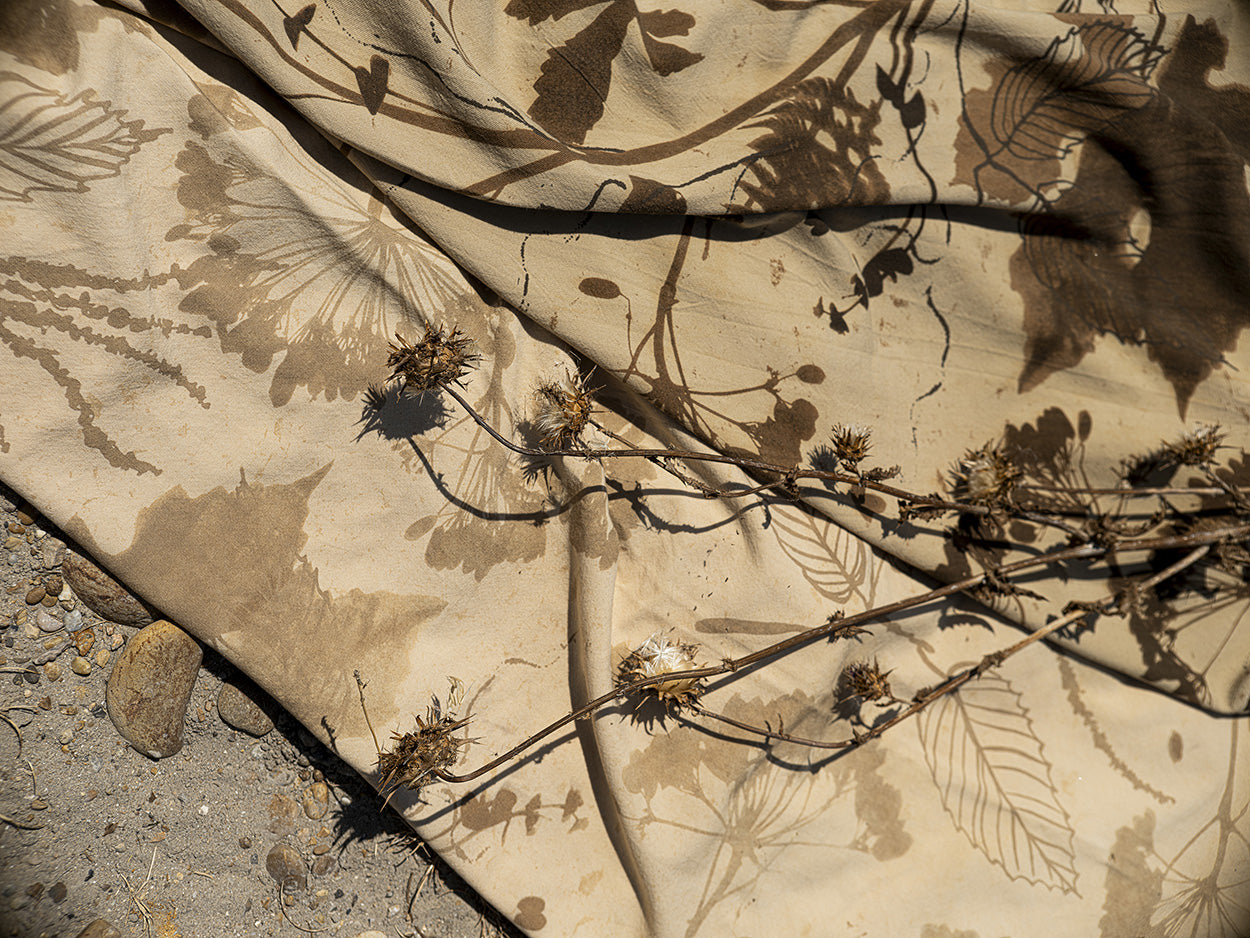 Elitis | Le bruit des feuilles - room scene