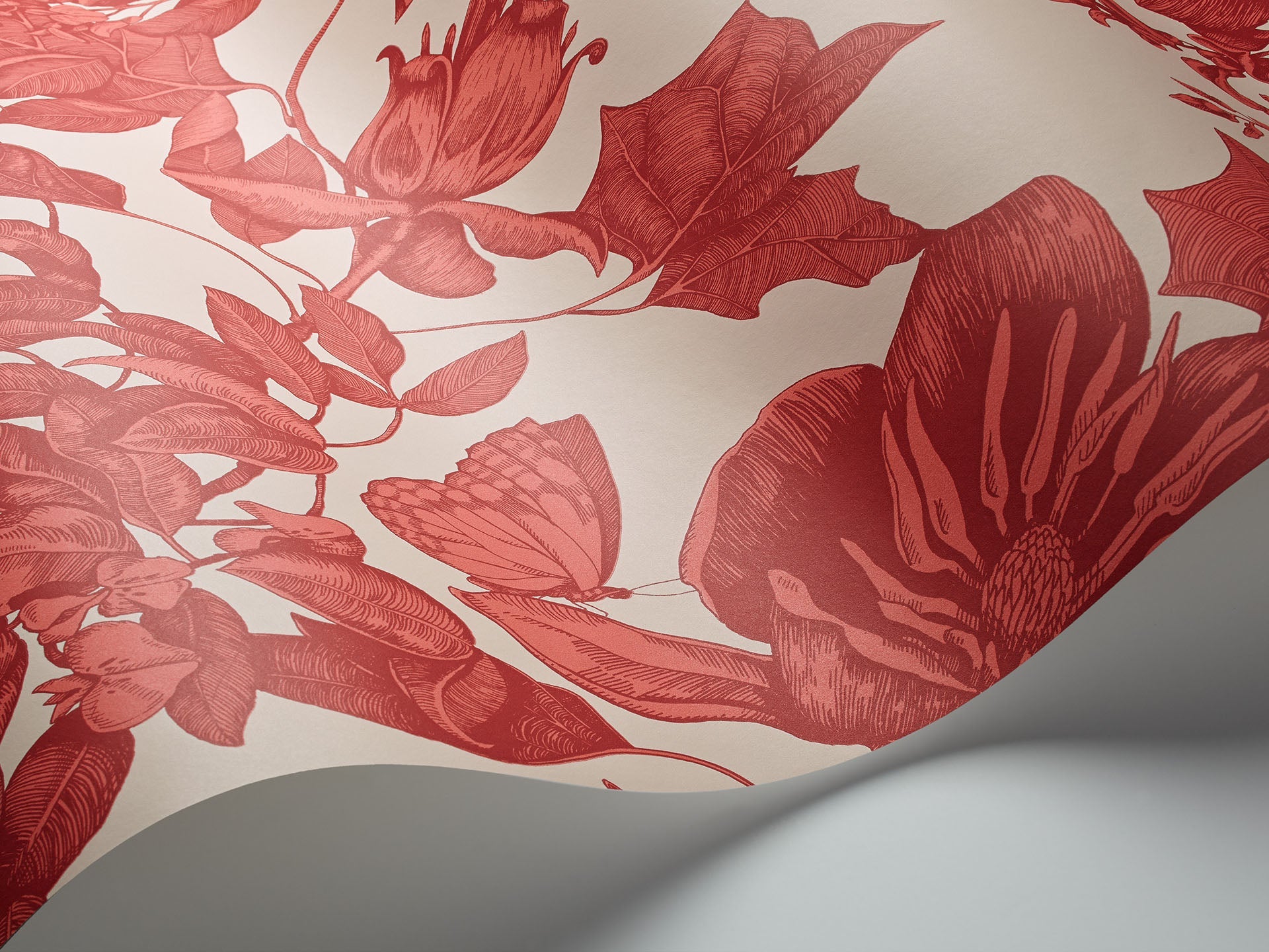 Cole & Son Tivoli - interior
