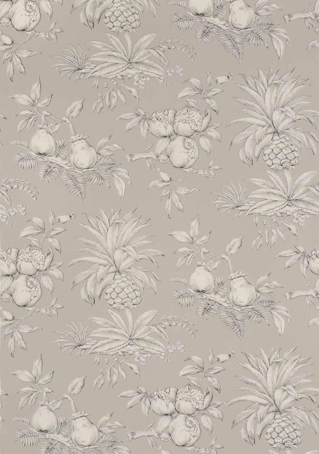 Pierre Frey Wallpaper Dandy - Black