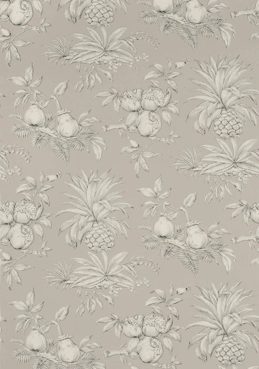 Pierre Frey Wallpaper Dandy - Black