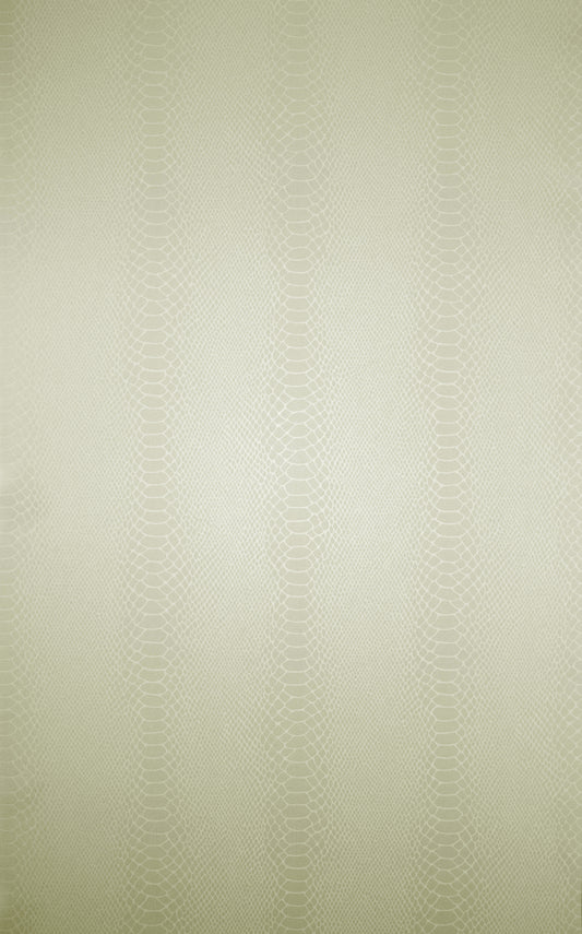 Osborne & Little | Cobra wallcovering - W6302-03