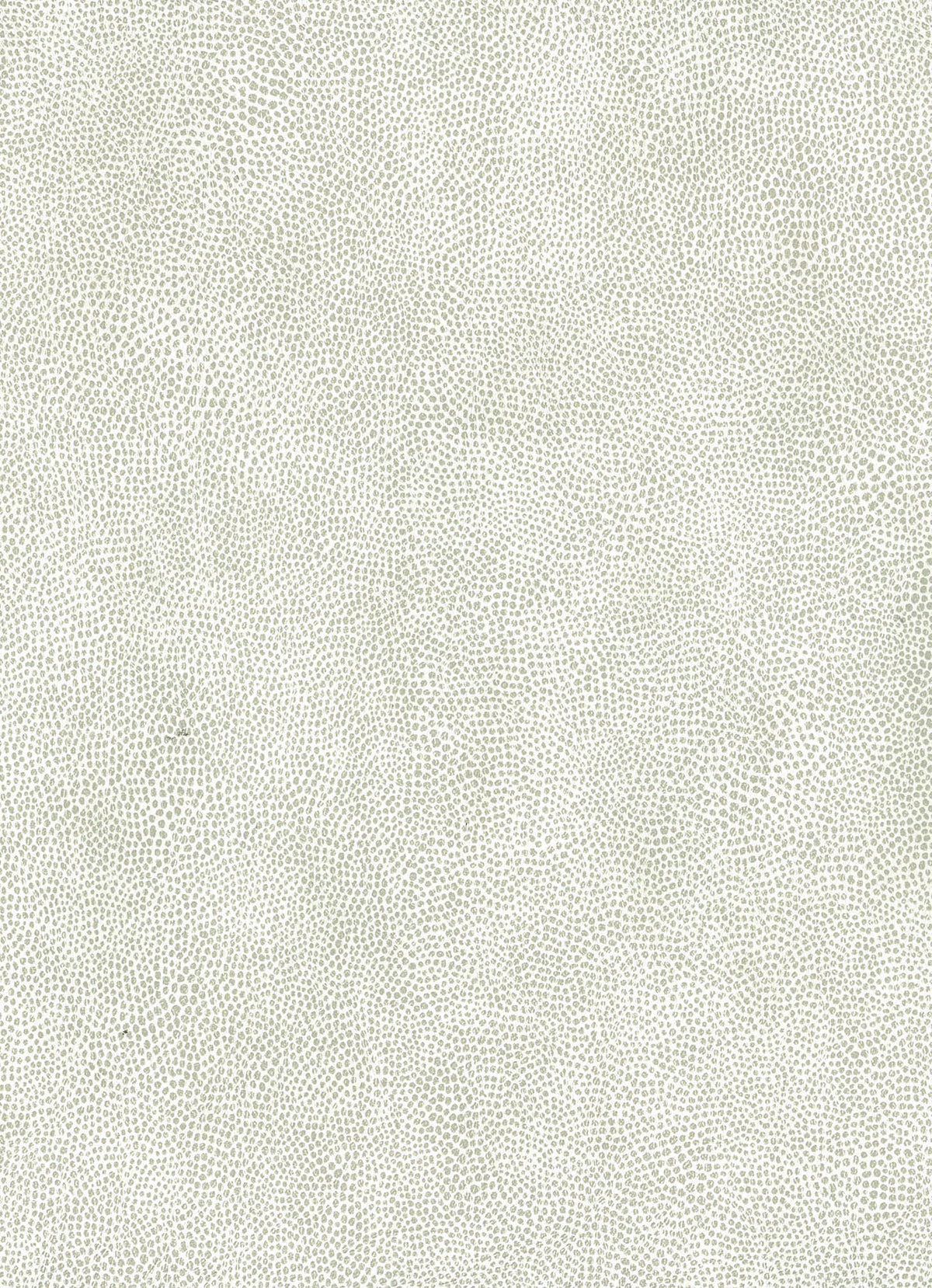 Osborne & Little | Mako wallcovering - W6331-03