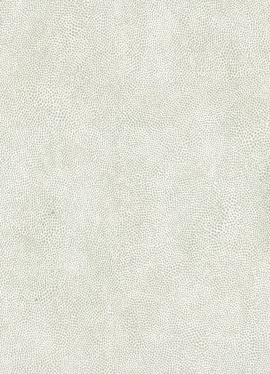 Osborne & Little | Mako wallcovering - W6331-03