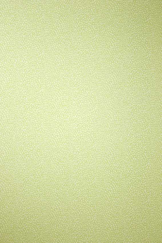 Osborne & Little | Oriole wallcovering - W6491-05